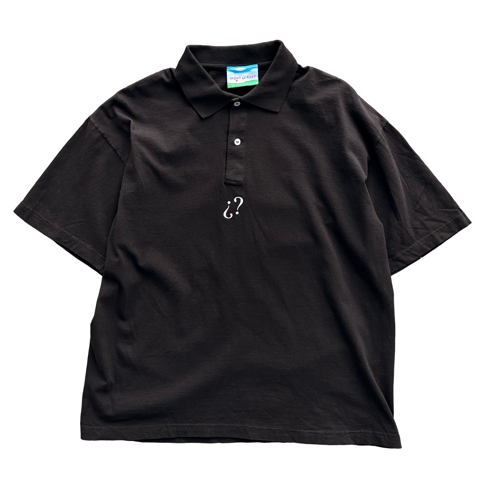 ¿? Polo